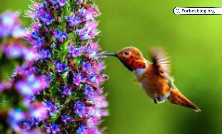 10 Best Plants That You Can Grow for Attracting Hummingbirds