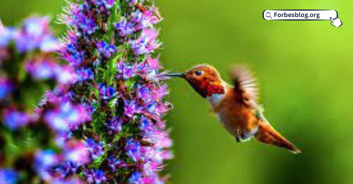 10 Best Plants That You Can Grow for Attracting Hummingbirds