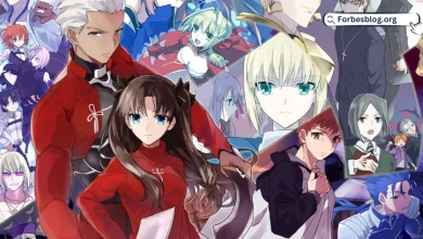 How to Watch the Fate Series: A Guide to Navigating the Rocky Waters of Adaptation