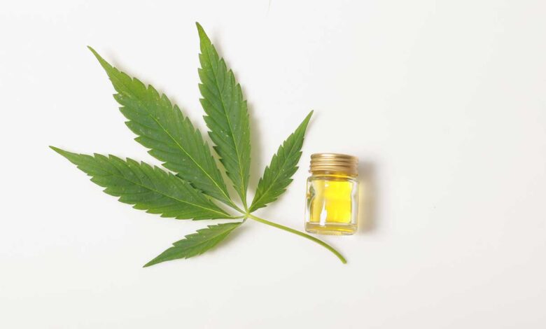 Is CBD a Good Option for Employee Health and Wellness?