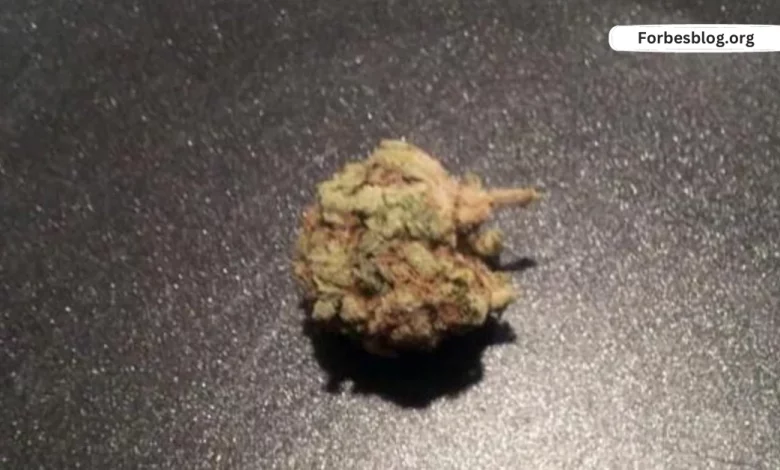 Blue Ivy Strain Review