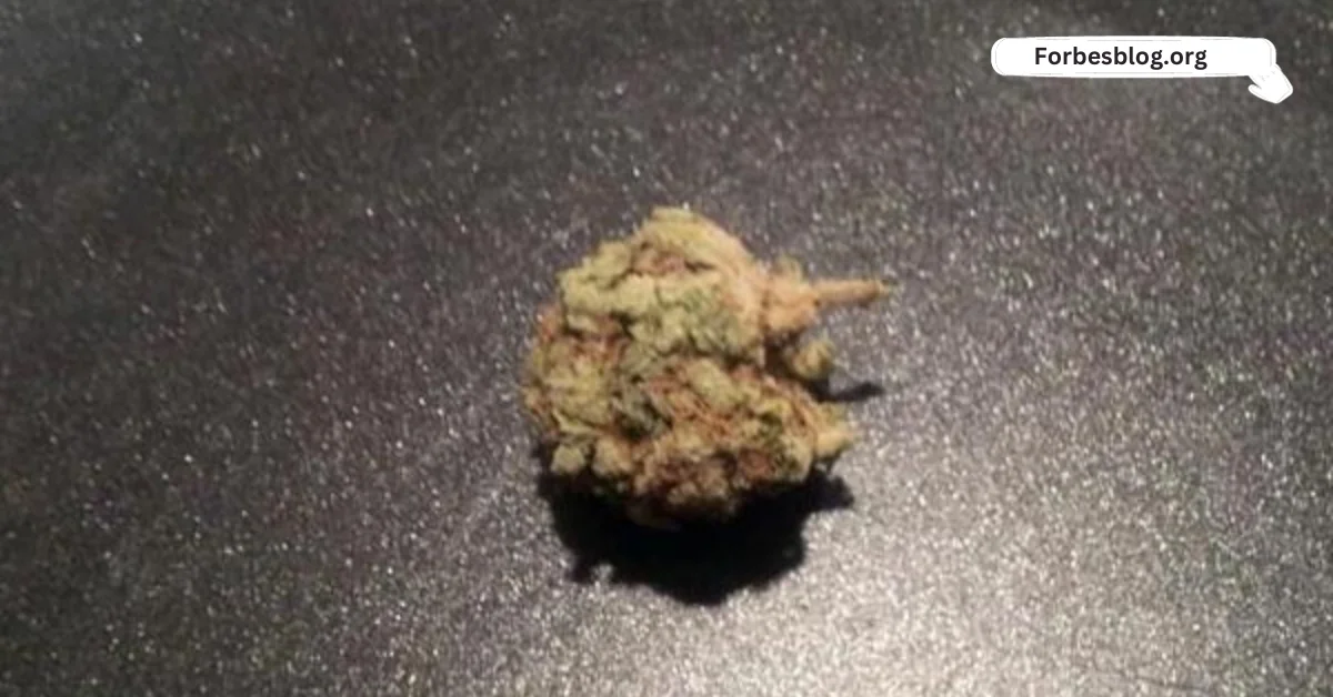 Blue Ivy Strain Review