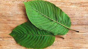 Kratom