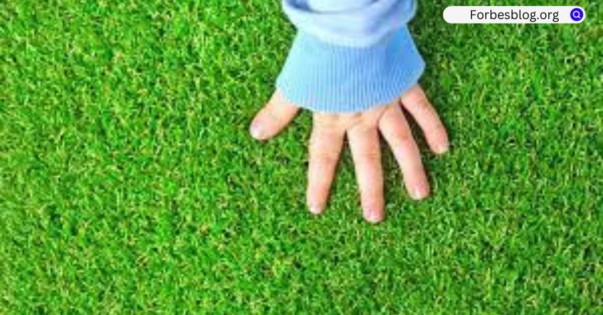 Artificial Grass