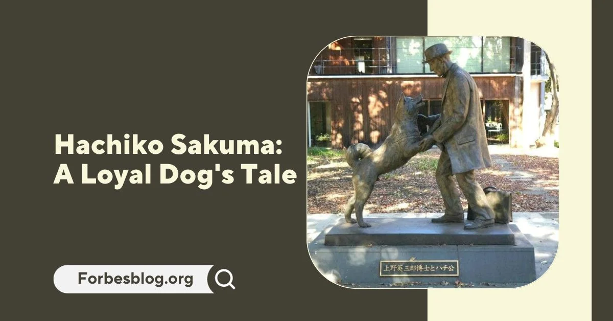 Hachiko Sakuma