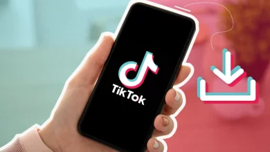 Online TikTok Video Downloaders