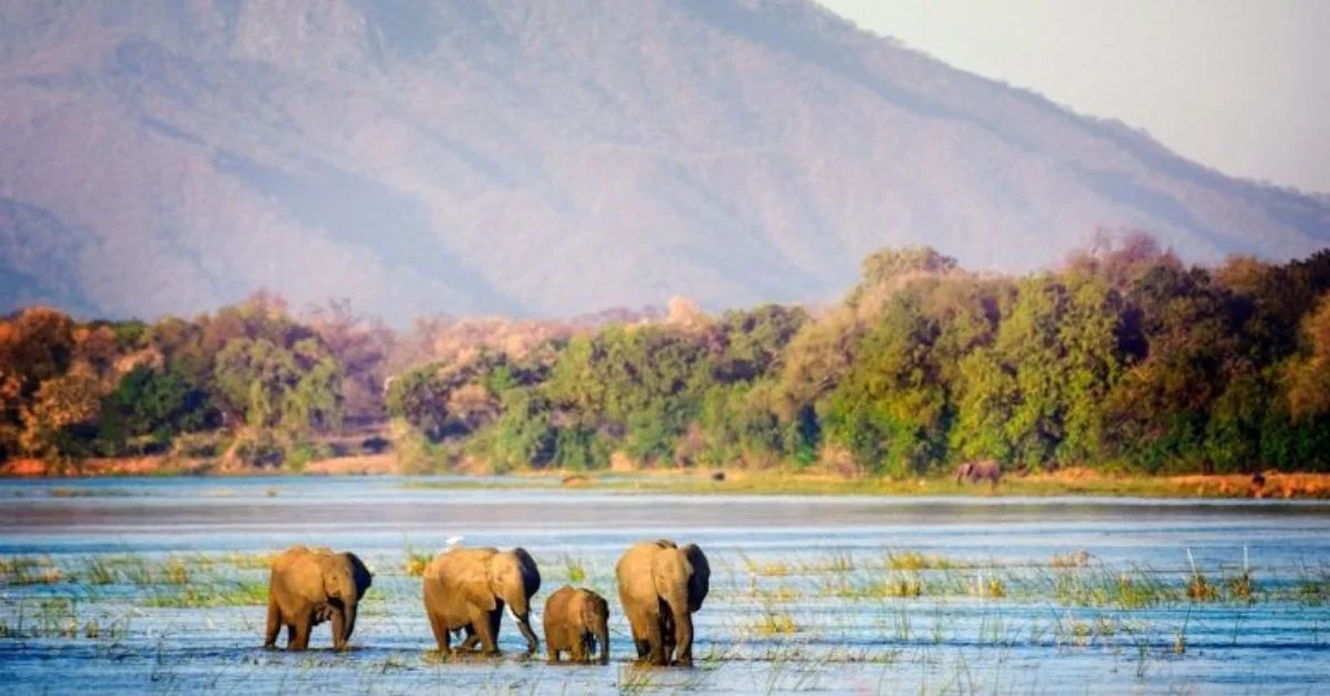 Mana Pools National Park