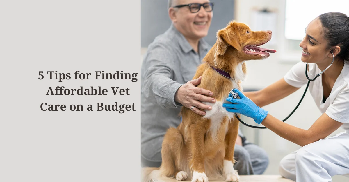 Affordable Vet Care