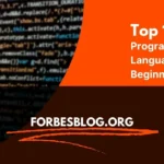 Programming Languages for Beginners