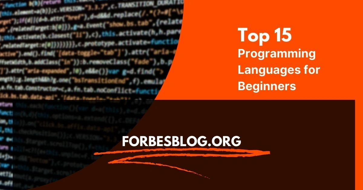 Programming Languages for Beginners